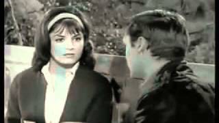 Pregnant Preachers (everybody&#39;s been burned)