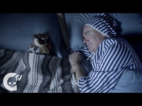 Hoot | Funny Short Film | Crypt TV