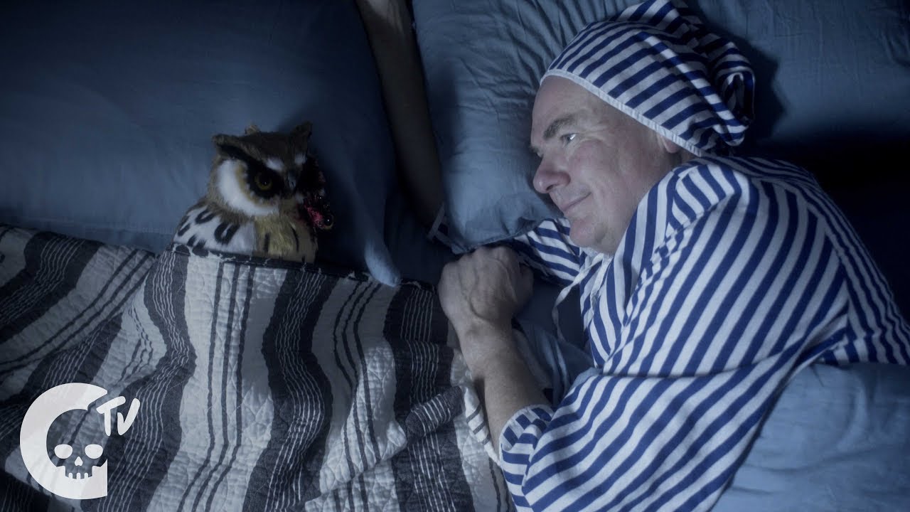Hoot | Funny Short Film | Crypt TV