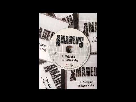 Amadeus- Netopier