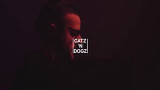 Catz 39n Dogz  De Marktkantine  2018