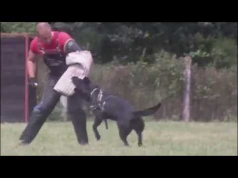 Fellis z Vodňanské doliny