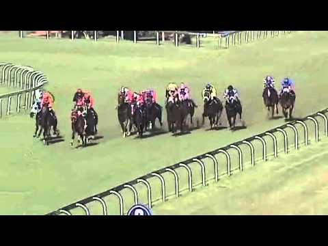 2016.03.26 Senor Santa Stakes (RSA) - Talktothestars