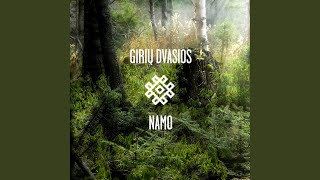 Ruke (Quantec Chacruna Remix)