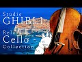 Studio Ghibli Cello Collection Cello Covered By Kuro