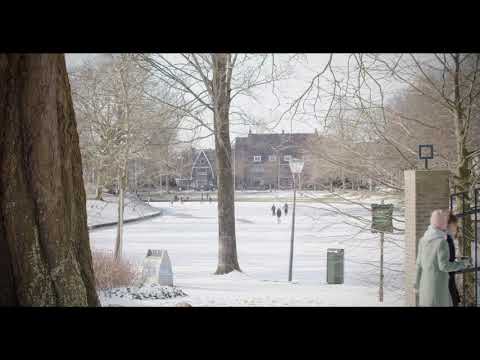Leeuwarden - Winter in de Prinsentuin (12 februari 2021)