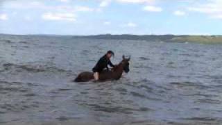 preview picture of video '乗馬シリーズ（セブビーチライディング編）馬と一緒に海に入ります'
