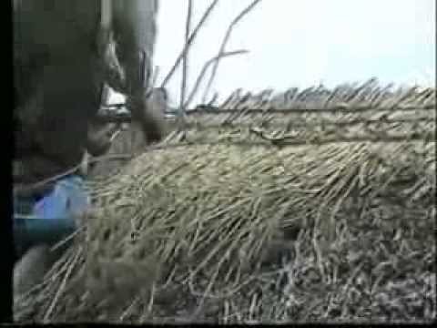 MARTIN McMAHON AND ROGER SHERLOCK