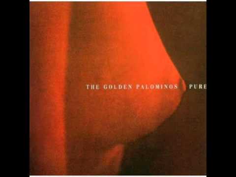 The Golden Palominos - Little Suicides