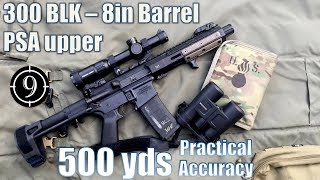 PSA 300BLK upper (8in barrel), the Dirt Squirrel to 500yds: Practical Accuracy