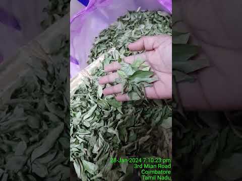 SHADOW DRIED CURRY LEAVES