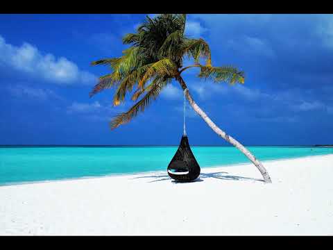 Le temps maussade booste les activités intérieures : les musées, vélos et hébergements tir…