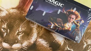 Commander Legends Draft Booster Box Opening #4 - Surprisingly Affordable Boxes…