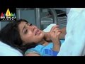 Nenunnanu Songs Nenunnanani Video Song Nagarjuna Aarti Aggarwal Shriya Sri Balaji Video