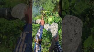 Download lagu disini lah mental kita diuji #honey #nature #madunsimadutea mp3