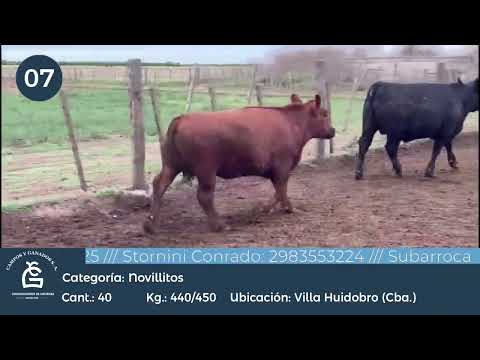 Lote NV UE HILTON - Villa Huidobro Córdoba
