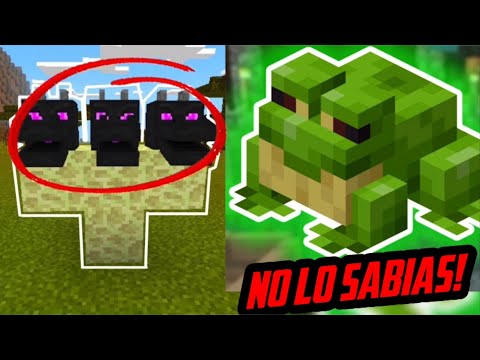 Mind-Blowing Minecraft Secrets Revealed Before Playing! 🤯