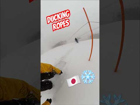 Japan powder 🇯🇵❄️ #shorts #viralshorts #subscribe