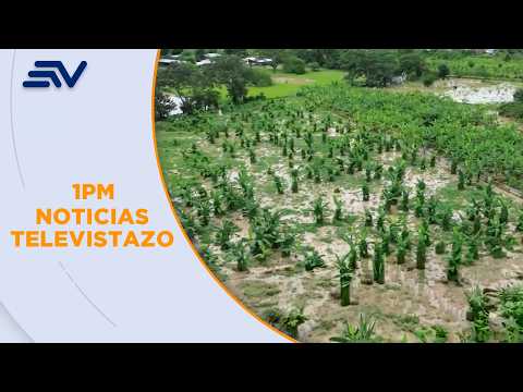 Chone: El Desbordamiento de 2 ríos afectó a más de 200 personas | Televistazo | Ecuavisa
