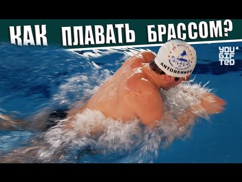 Как правильно плавать брассом? Данил Антоненков