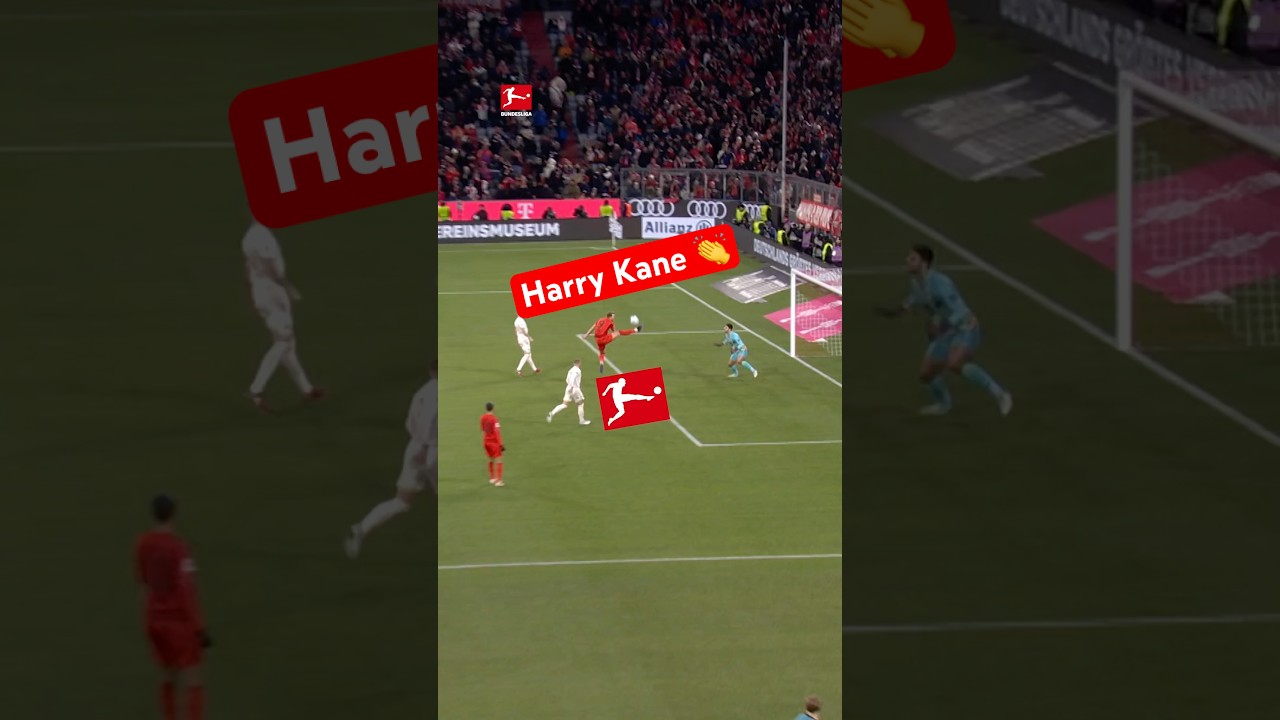 Harry KANE 🤝 Bundesliga Logo