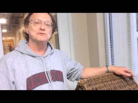 House Rabbits Looking For Love