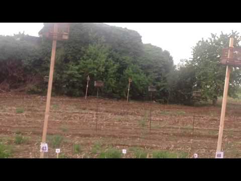 Ritrovo da Ciccio a Caerano S Marco