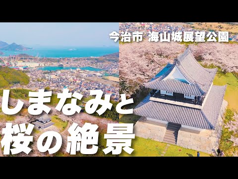 しまなみと桜の絶景（今治市 海山城展望公園）