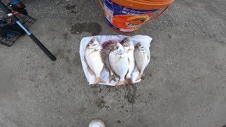 NYC-PORGY-FISHING 10/12/2025