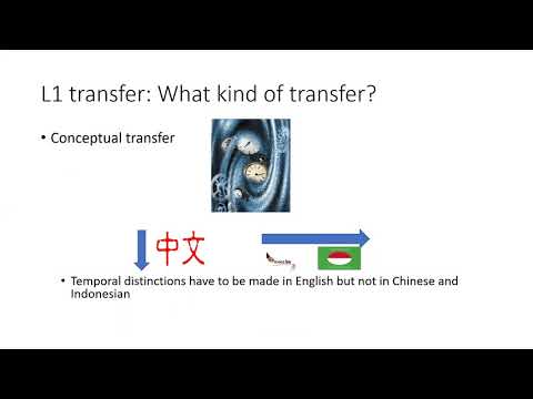 First language transfer - Conceptual transfer