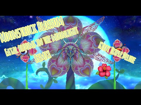 Moonstruck Blossom (Fatal Blooms in the Moonlight) Remix- Kirby Triple Deluxe