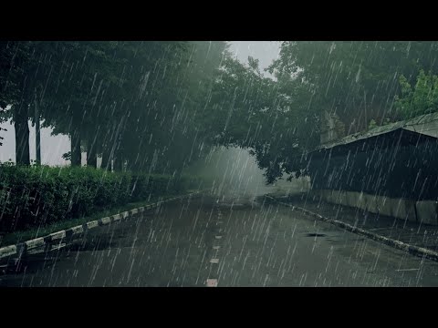 Wonderful Rain Sound to Sleep and Relax in 5 minutes - Rain to Sleep, Study