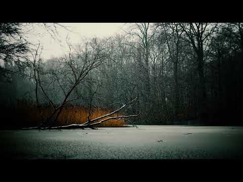 Robot Koch and Delhia de France - All I Want For Christmas