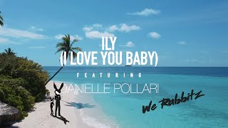 ILY (i love you baby) We Rabbitz featuring Danielle Pollari