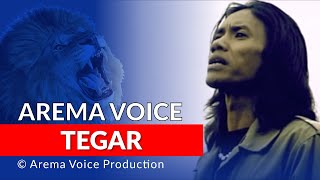 Download lagu Arema Voice - Tegar mp3