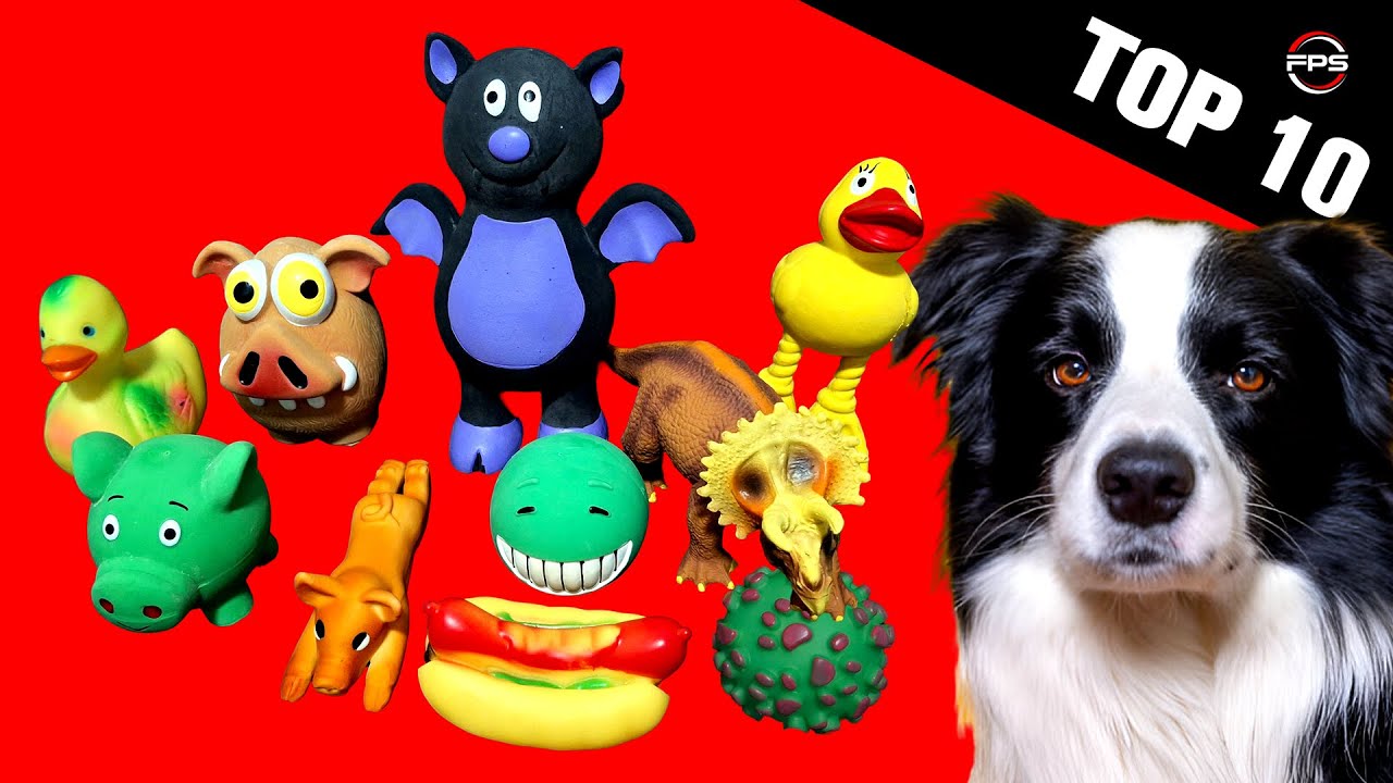 10 Squeaky Toy Dog Toys 🔊 Solve Your Dog's Boredom 🐶