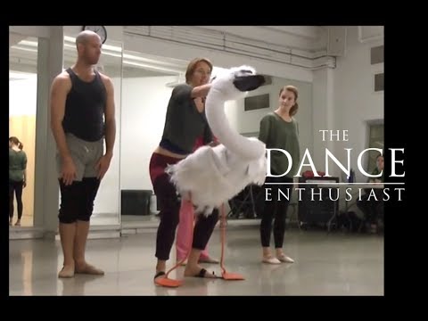 New York Dance Up Close: A Minute of Allegra Kent's "Ballerina Swan" 