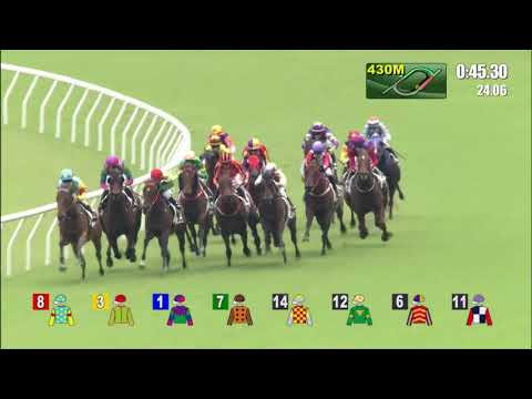 17/10/2021 (96) Gracylove - Z Purton