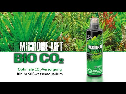 Die flüssige CO2-Quelle 𝗼𝗵𝗻𝗲 𝗚𝗹𝘂𝘁𝗮𝗿𝗮𝗹𝗱𝗲𝗵𝘆𝗱 für dein Aquarium - 𝗠𝗜𝗖𝗥𝗢𝗕𝗘-𝗟𝗜𝗙𝗧 𝗕𝗜𝗢 𝗖𝗢𝟮 - erklärt.