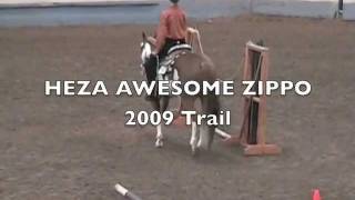 preview picture of video 'Heza Awsome Zippo - 2009 Trail'