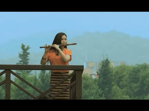 Flowers In a Riot of Colour [亂紅] - Chen Yue [陈悦] - MV