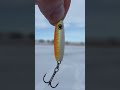 Video Thumbnail for Walleye Buck Shot Smasher