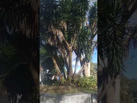 Praça jardim em Itiruçu - BA