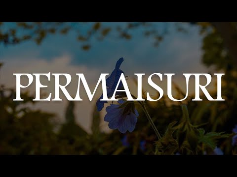 Permaisuri (Lirik) DATA, Fahrenheit, Medicine || Mix Lagu