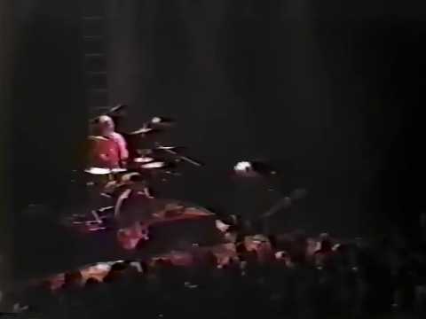 Green Day in Petaluma, CA