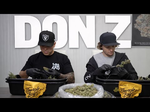 The Birth of DON Z | From Clone to Gold Mylar