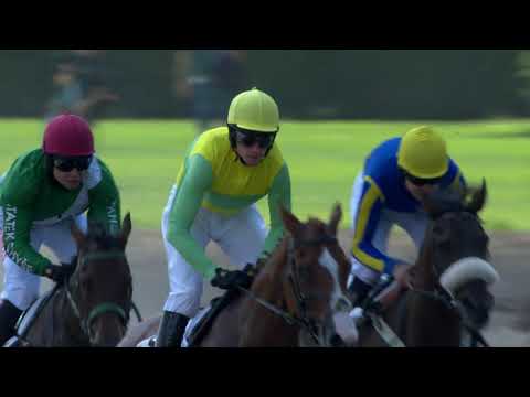 25. 7. 2020 - 2. dostih - Pohár BICZ holding 2020