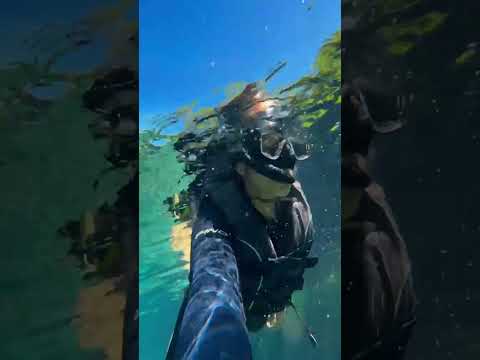 O paraíso!