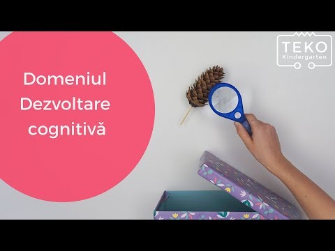 Domeniul Dezvoltare Cognitivă