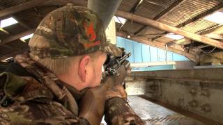 Airgun Hunting – Shooting feral pigeons with a Daystate Airwolf in Scotland
